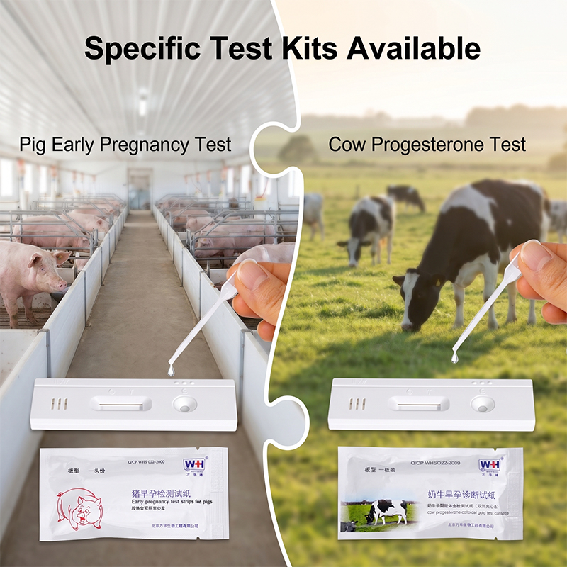 10pcs Livestock Early Pregnanc - Urine Analyzer Strip 评论和价格